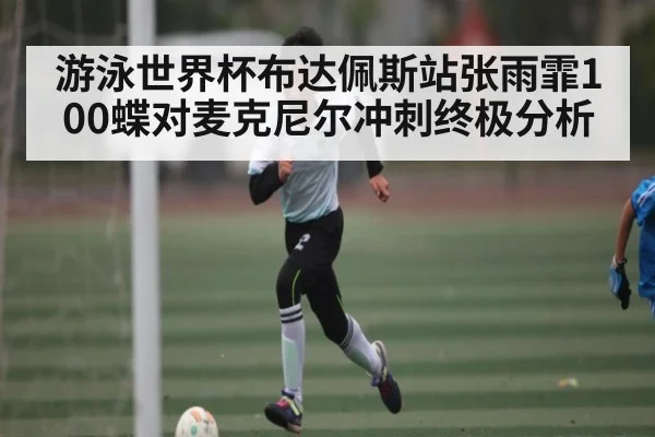 游泳世界杯布达佩斯站张雨霏100蝶对麦克尼尔冲刺终极分析